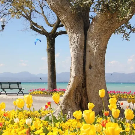 Apartman Front Bardolino